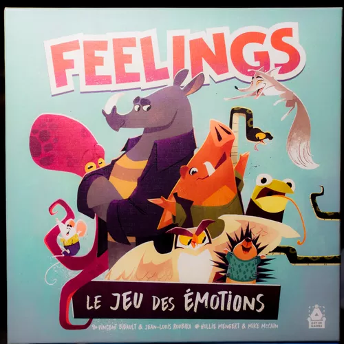 Test jeu feelings émotions